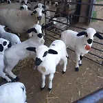Casa Abuela Antolina La Horcajada
